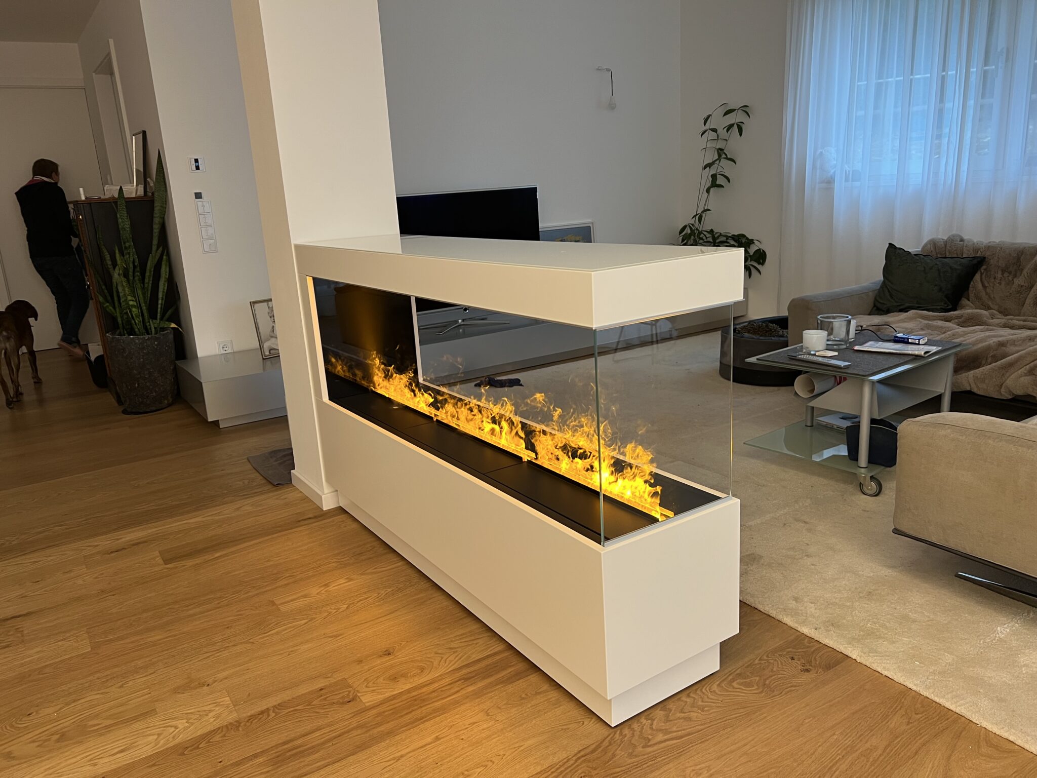 Raumteiler Mit Elektrokamin Gemutliche Warme Und Stilvolle Trennung